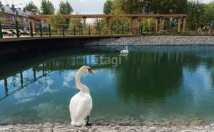 Дом 90м&sup2;, 2-этажный, участок 1 сот.  