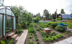 Дом 45м&sup2;, 2-этажный, участок 6 сот.  