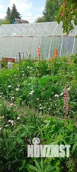 Дом 20м², 1-этажный, участок 5 сот.  