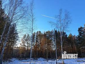 Дача 65м², 1-этажный, участок 8 сот.  