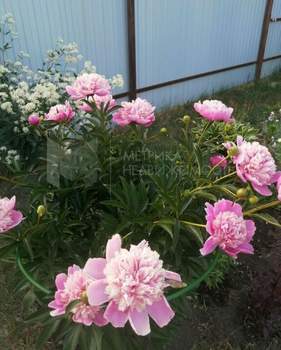 Дом 40м², 2-этажный, участок 6 сот.  