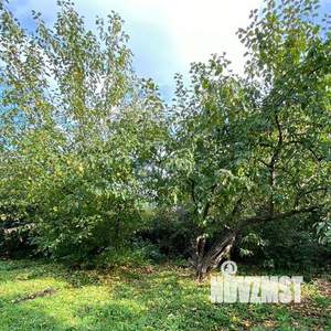 Дом 60м², 1-этажный, участок 6 сот.  