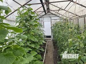 Дом 62м&sup2;, 1-этажный, участок 6 сот.  