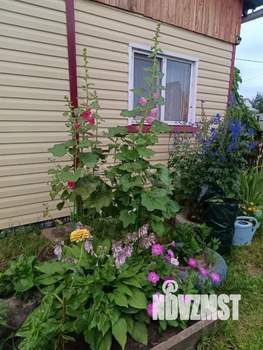 Дом 30м&sup2;, 1-этажный, участок 4 сот.  