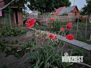 Дом 48м&sup2;, 2-этажный, участок 5 сот.  