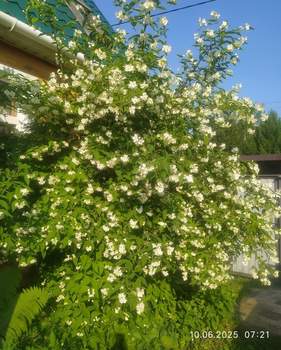 Дом 40м², 2-этажный, участок 0 сот.  