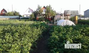 Дом 39м&sup2;, 2-этажный, участок 12 сот.  