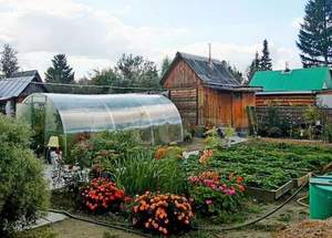Дом 50м², 2-этажный, участок 4 сот.  
