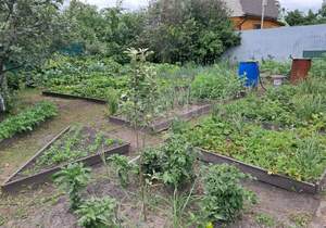 Дом 49м², 2-этажный, участок 5 сот.  