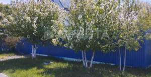 Дом 153м², 2-этажный, участок 0 сот.  