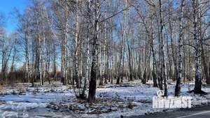 Дом 276м&sup2;, 2-этажный, участок 14 сот.  