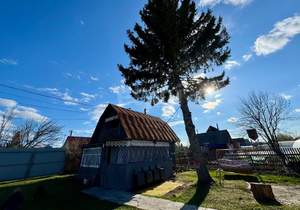 Дом 55м², 2-этажный, участок 5 сот.  