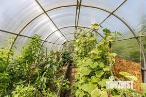 Дом 42м², 2-этажный, участок 5 сот.  