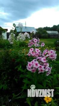 Дом 38м&sup2;, 1-этажный, участок 5 сот.  