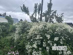 Дом 25м&sup2;, 1-этажный, участок 10 сот.  