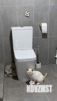 Дом 61м&sup2;, 2-этажный, участок 5 сот.  