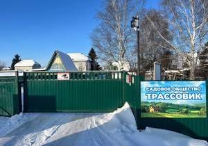 Дом 60м&sup2;, 2-этажный, участок 4 сот.  