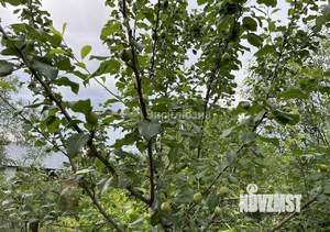 Дом 45м&sup2;, 1-этажный, участок 5 сот.  