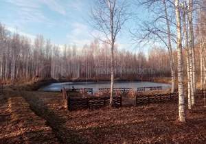Дом 160м², 2-этажный, участок 49 сот.  