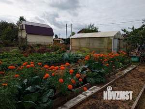 Дача 19м², 1-этажный, участок 8 сот.  