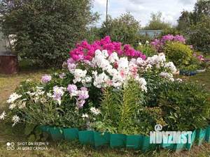 Дом 70м², 2-этажный, участок 18 сот.  