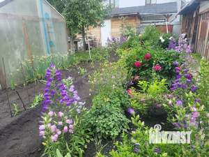 Дом 55м&sup2;, 1-этажный, участок 6 сот.  