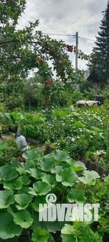 Дом 20м², 1-этажный, участок 5 сот.  