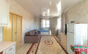 Дом 110м&sup2;, 1-этажный, участок 4 сот.  