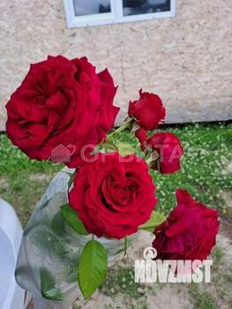 Дом 80м&sup2;, 2-этажный, участок 8 сот.  