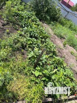 Дом 50м², 1-этажный, участок 8 сот.  