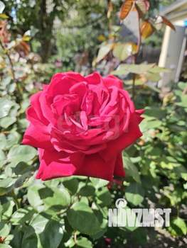 Дом 64м&sup2;, 2-этажный, участок 11 сот.  