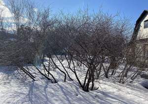 Дом 100м², 2-этажный, участок 4 сот.  