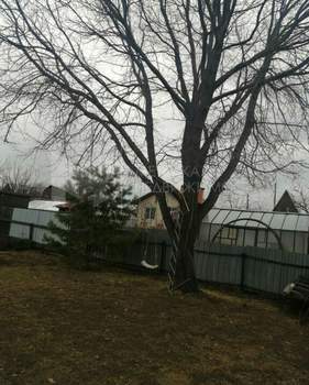 Дом 40м², 2-этажный, участок 6 сот.  