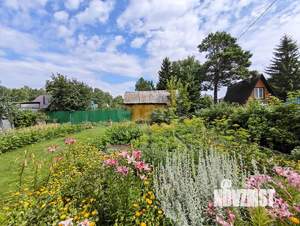 Дом 50м&sup2;, 1-этажный, участок 5 сот.  