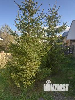 Дом 76м&sup2;, 2-этажный, участок 6 сот.  