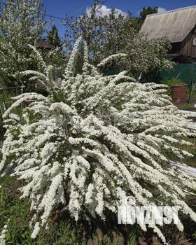 Дом 20м&sup2;, 2-этажный, участок 5 сот.  