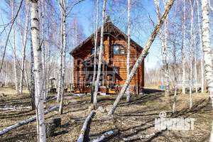 Дом 160м&sup2;, 2-этажный, участок 49 сот.  