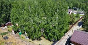 Дом 59м&sup2;, 1-этажный, участок 8 сот.  