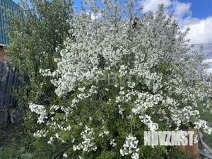 Дом 19м&sup2;, 2-этажный, участок 5 сот.  