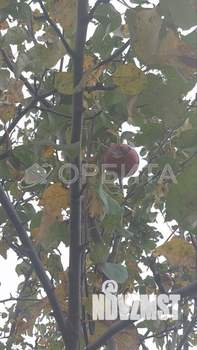 Дом 36м², 2-этажный, участок 6 сот.  