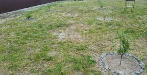 Дом 116м&sup2;, 1-этажный, участок 10 сот.  