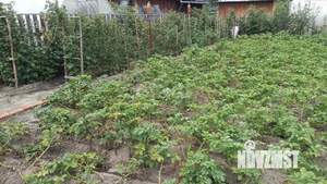 Дом 40м&sup2;, 1-этажный, участок 6 сот.  