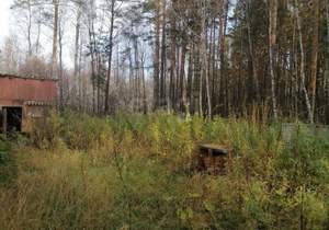 Дом 61м², 2-этажный, участок 13 сот.  