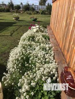 Дом 15м&sup2;, 1-этажный, участок 14 сот.  