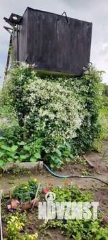 Дом 36м², 2-этажный, участок 8 сот.  