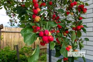 Дом 67м&sup2;, 1-этажный, участок 4 сот.  