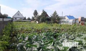 Дом 39м&sup2;, 2-этажный, участок 12 сот.  