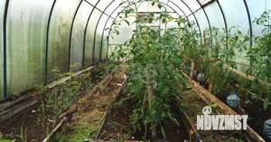 Дом 30м&sup2;, 1-этажный, участок 8 сот.  