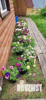 Дом 44м², 2-этажный, участок 8 сот.  