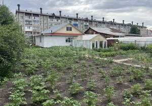 Дом 62м², 1-этажный, участок 6 сот.  